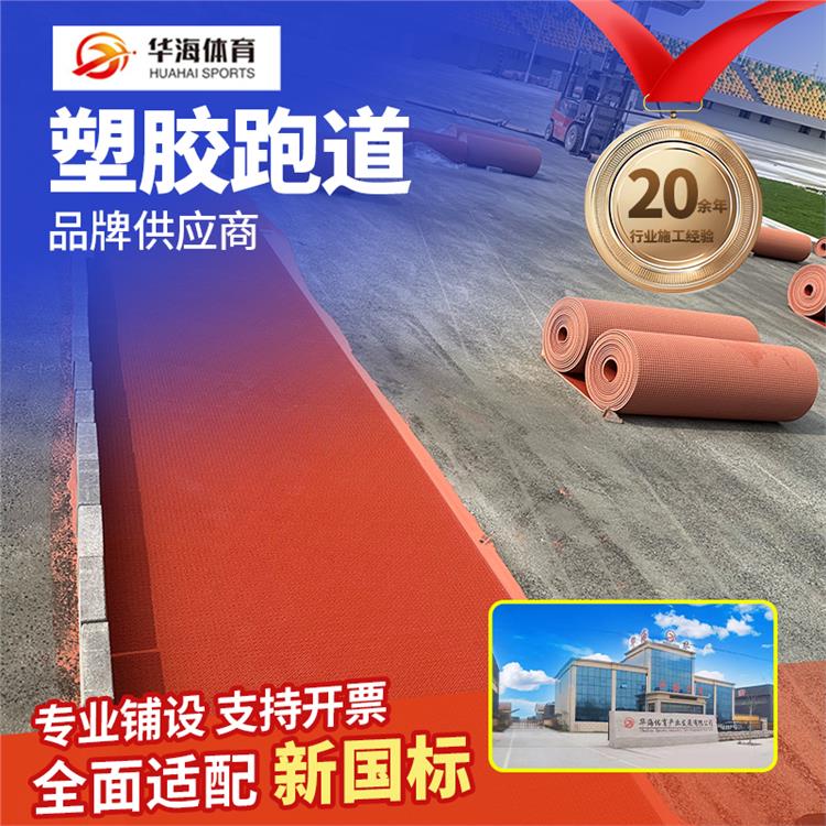 盐城市半预制跑道塑胶颗粒 - 厂家